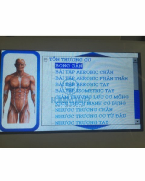 Máy điều trị từ trường tần số thấp 0